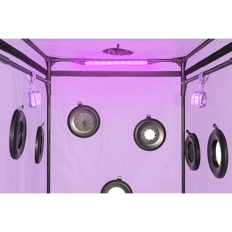 SECRET DOME - KINK CLUB CABIN SCANDALE VIOLA