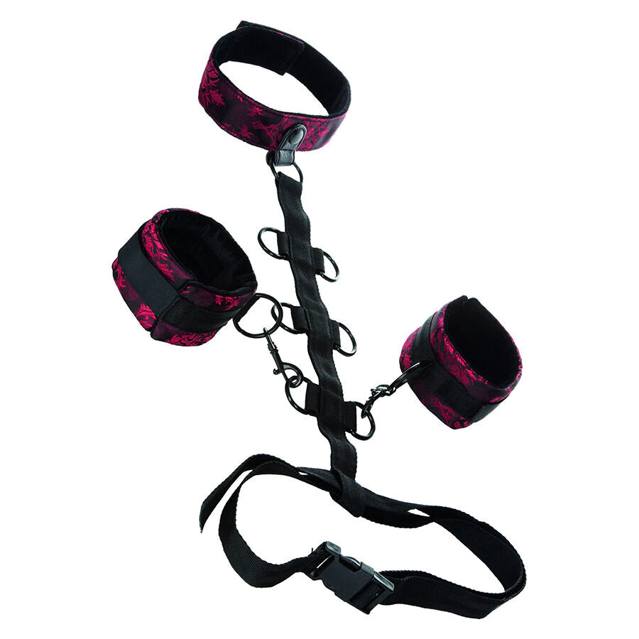 CALEXOTICS - SCANDAL COMPORAL SUPPORT CON COLLO