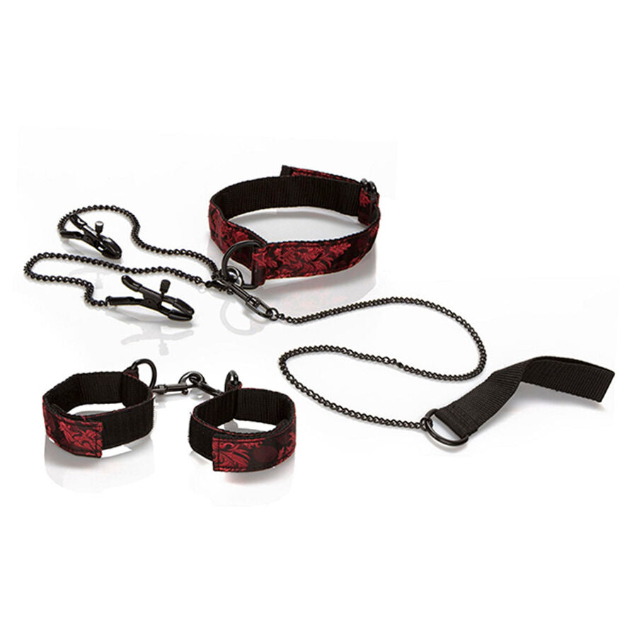 CALEXOTICS - SCANDAL KIT PER LA PRESENTAZIONE